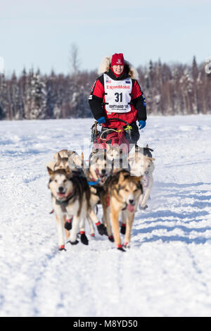 Musher Aliy Zirkle après le redémarrage en saule de la 46e Iditarod Trail Sled Dog Race dans le sud de l'Alaska. Banque D'Images