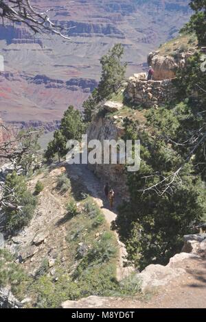 Le Parc National du Grand Canyon, AZ, USA : les touristes sur les sentiers de marche à différents niveaux à l'extrémité ouest de la Rim Trail, South Rim. Banque D'Images