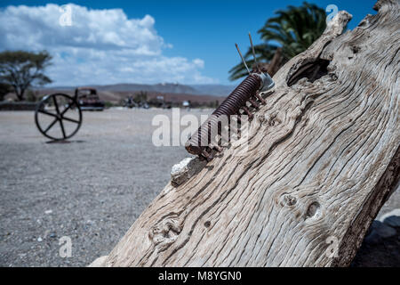 A une chenille dans la rivière Tsauchab jardin de sculptures du camp en Namibie Banque D'Images