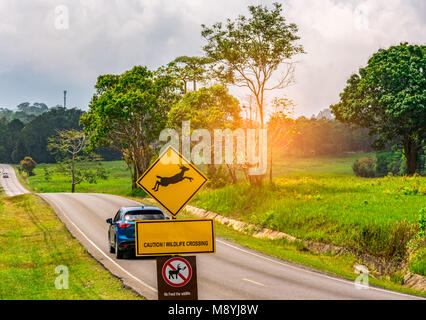 Attention ! Signe de passage de la faune et pas d'alimentation de la faune à côté de la route asphaltée près de petite colline et champ d'herbe verte. Voiture bleue de l'driv Banque D'Images