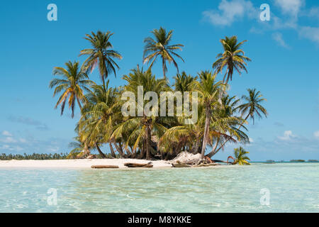 Petite île , Plage et palmiers - îles San Blas, Panama Banque D'Images