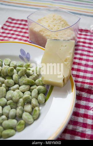 Les fèves et le pecorino romain repas traditionnels italiens pour le 1er jour de mai Banque D'Images