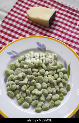 Les fèves et le pecorino romain repas traditionnels italiens pour le 1er jour de mai Banque D'Images