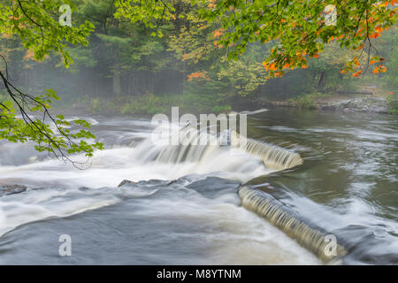 Bond Falls, Upper Peninsula, MI, USA, fin septembre, par Dominique Braud/Dembinsky Assoc Photo Banque D'Images