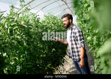 Jeune agriculteur protéger ses plantes Banque D'Images