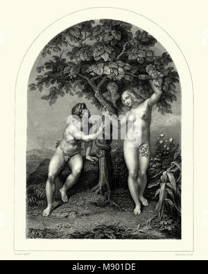 Adam et Eve. Après Raphaël. Adam et Eve, selon le mythe de la création des religions abrahamiques, ont été le premier homme et femme. Banque D'Images