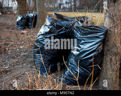 Les sacs à ordures debout dans le parc après le nettoyage de printemps Banque D'Images