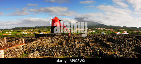 Vignobles à l'intérieur des parois de lave à Criação Velha. Site du patrimoine mondial de l'UNESCO. Pico, Açores, Portugal Banque D'Images