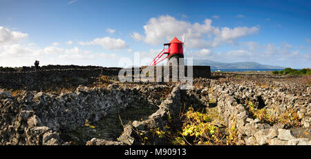 Vignobles à l'intérieur des parois de lave à Criação Velha. Site du patrimoine mondial de l'UNESCO. Pico, Açores, Portugal Banque D'Images