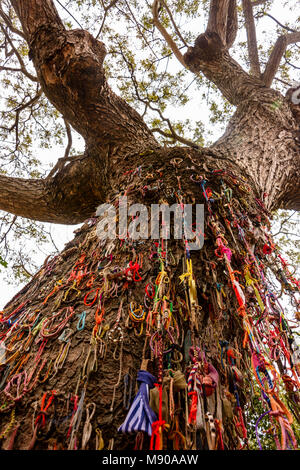 Bracelets colorés laissés par les visiteurs à un arbre utilisé par les Khmers rouges au club les bébés et les enfants à mort, Choeung Ek Killing Fields Centre Génocide, Phnom Penh, Cambodge, site où des dizaines de milliers de Cambodgiens ont été tués par les Khmers rouges sous les ordres de Pol Pot de 1975-1979. Banque D'Images