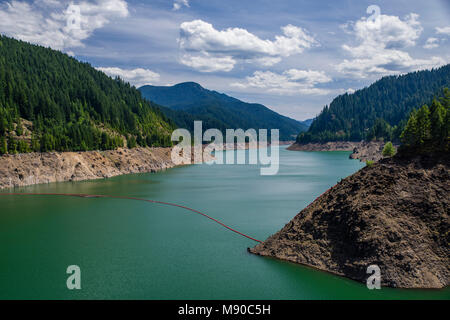 Cougar.Il se trouve dans la partie de l'Oregon est le bassin hydrographique de la rivière McKenzie Banque D'Images