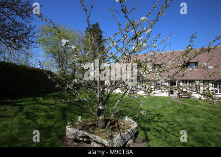 Japanese Cherry Tree House et dans l'Eure, France. Banque D'Images