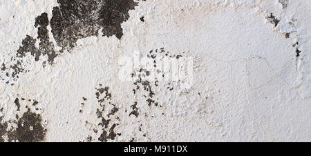 Vieux 12.2005 sécheresse sombre et la texture du mur de plâtre blanc arrière-plan Banque D'Images