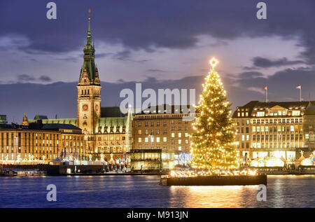 Alstertanne auf der à Hambourg Binnenalster, Deutschland, Europa Banque D'Images