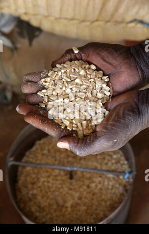UBTEC ONG dans un village près de Ouahigouya, Burkina Faso. Farmer holding maïs dans une banque alimentaire. Banque D'Images