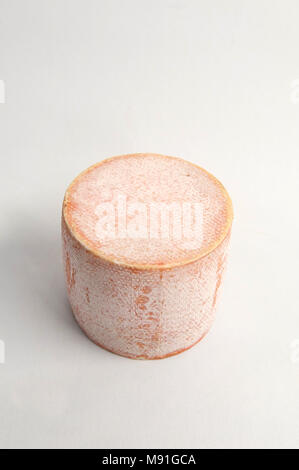 Une tête de moine entière sans emballage Banque D'Images