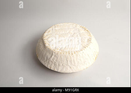 Le fromage de chèvre Ticklemore Great Brittain Banque D'Images