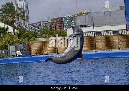 Aquarium Océanographique de la Cité des Arts et des Sciences de Valence, Espagne 16/08/2017 15:00 Banque D'Images