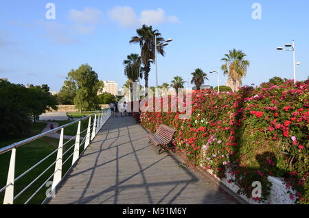 Pont de les Flors est l'un des ponts qui traverse le jardin del Turia de la ville de Valence. Il a la particularité d'être toujours paré. Banque D'Images