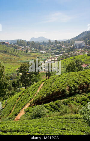 En conduite à Nuwaraeliya, Nuwara Eliya, une vue de la ville sur la ville d'une journée ensoleillée avec ciel bleu et collines entourant de culture du thé. Banque D'Images