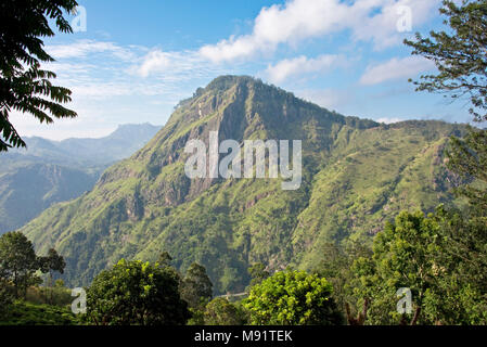 Le but d'Adam's Peak près de Ella au Sri Lanka lors d'une journée ensoleillée avec ciel bleu. Banque D'Images