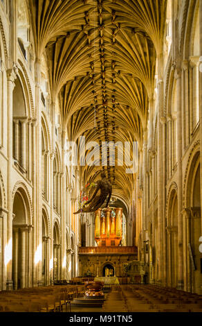 Intérieur de la cathédrale de Norwich Banque D'Images