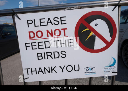 Ne pas nourrir les mouettes ne pas nourrir les oiseaux signe sur Poole Quay Dorset UK Banque D'Images