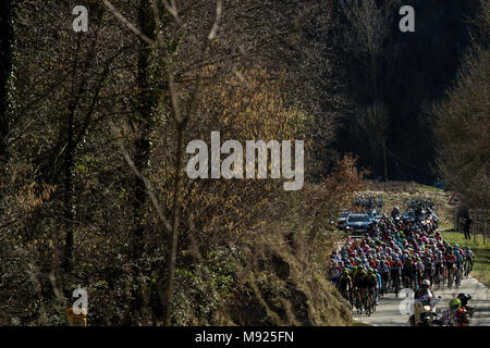 Sant Cugat - Camprodon, Espagne. 21 mars, 2018. Le peloton au cours de la 98ème Volta Ciclista a Catalunya 2018 / Phase 3 Sant Cugat - Camprodon de 153km durant le Tour de Catalogne, 21 mars 2018 en Coll de bracons, Espagne. Credit : CORDON PRESS/Alamy Live News Banque D'Images