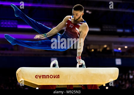 Birmingham, UK. 21 mars, 2018. Dominick Gunnigham (GBR) est en concurrence sur le cheval d'arçons lors de la Coupe du Monde de Gymnastique FIG 2018 Arena à Birmingham le mercredi, 21 mars 2018. Birmingham England. Credit : Taka Wu/Alamy Live News Banque D'Images