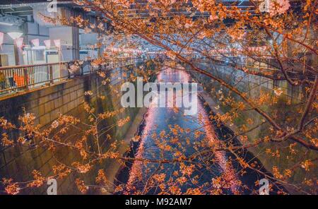 Tokyo, Tokyo, la Chine. Mar 22, 2018. Paysage de nuit des cerisiers en fleurs à Meguro River à Tokyo, Japon. La rivière Meguro (Meguro-gawa) est une rivière qui s'écoule à travers Tokyo, Japon. Les berges sont largement paysagées et agir comme un espace vert urbain pour les collectivités le long de sa longueur. La rivière est un lieu populaire pour ses cerisiers en fleurs au printemps. Crédit : SIPA Asie/ZUMA/Alamy Fil Live News Banque D'Images