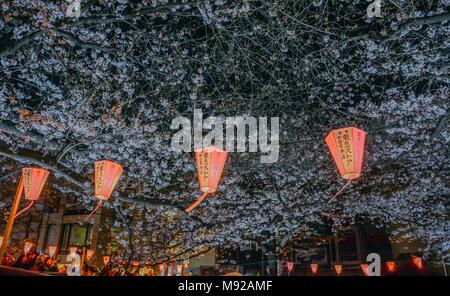 Tokyo, Tokyo, la Chine. Mar 22, 2018. Paysage de nuit des cerisiers en fleurs à Meguro River à Tokyo, Japon. La rivière Meguro (Meguro-gawa) est une rivière qui s'écoule à travers Tokyo, Japon. Les berges sont largement paysagées et agir comme un espace vert urbain pour les collectivités le long de sa longueur. La rivière est un lieu populaire pour ses cerisiers en fleurs au printemps. Crédit : SIPA Asie/ZUMA/Alamy Fil Live News Banque D'Images