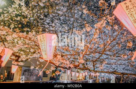 Tokyo, Tokyo, la Chine. Mar 22, 2018. Paysage de nuit des cerisiers en fleurs à Meguro River à Tokyo, Japon. La rivière Meguro (Meguro-gawa) est une rivière qui s'écoule à travers Tokyo, Japon. Les berges sont largement paysagées et agir comme un espace vert urbain pour les collectivités le long de sa longueur. La rivière est un lieu populaire pour ses cerisiers en fleurs au printemps. Crédit : SIPA Asie/ZUMA/Alamy Fil Live News Banque D'Images