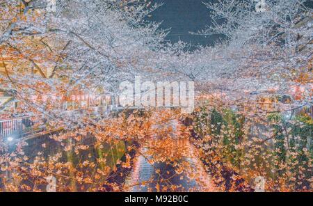 Tokyo, Tokyo, la Chine. Mar 22, 2018. Paysage de nuit des cerisiers en fleurs à Meguro River à Tokyo, Japon. La rivière Meguro (Meguro-gawa) est une rivière qui s'écoule à travers Tokyo, Japon. Les berges sont largement paysagées et agir comme un espace vert urbain pour les collectivités le long de sa longueur. La rivière est un lieu populaire pour ses cerisiers en fleurs au printemps. Crédit : SIPA Asie/ZUMA/Alamy Fil Live News Banque D'Images