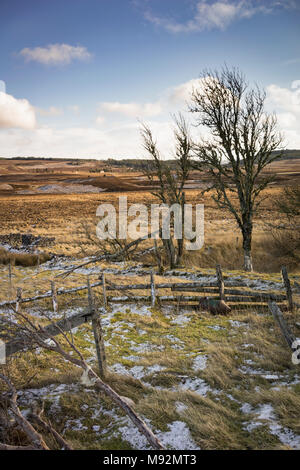 Crannich abandonnés Croft de Pâques sur Dava Moor en Ecosse. Banque D'Images