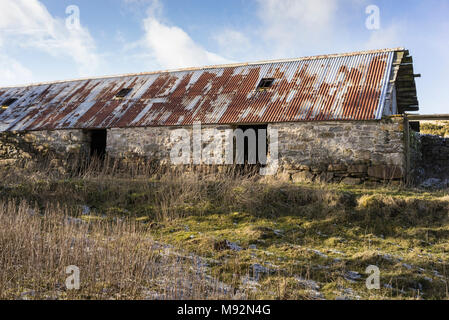 Crannich abandonnés Croft de Pâques sur Dava Moor en Ecosse. Banque D'Images