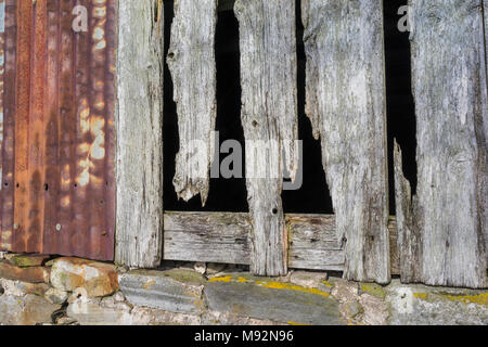 Crannich abandonnés Croft de Pâques sur Dava Moor en Ecosse. Banque D'Images