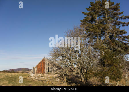 Crannich abandonnés Croft de Pâques sur Dava Moor en Ecosse. Banque D'Images