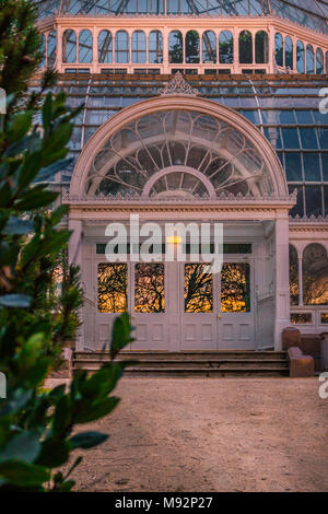 Palm House dans Liverpools Sefton Park, le Merseyside Banque D'Images