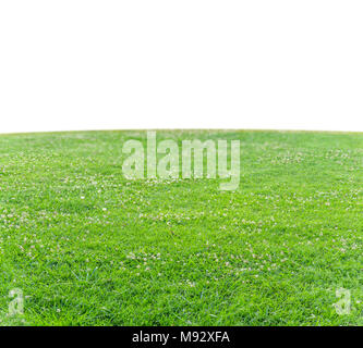 Boîte verte grass field background Banque D'Images