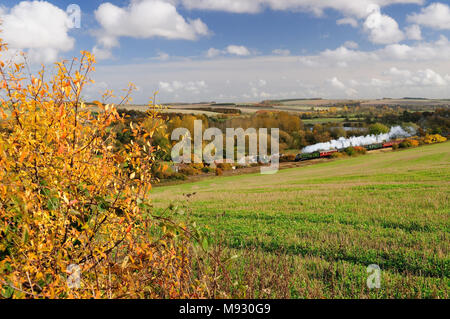Le cathedrals Express railtour passant par les lacs Langford dans la vallée de Wylye, transporté par la classe A4 Pacific No 60019 'Bittern', 30th octobre 2010. Banque D'Images