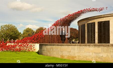 Cascade de pavot installation à Plymouth, en Angleterre. UK tour de coquelicots pour commémorer les morts et disparus, hommes et femmes, des guerres mondiales Banque D'Images