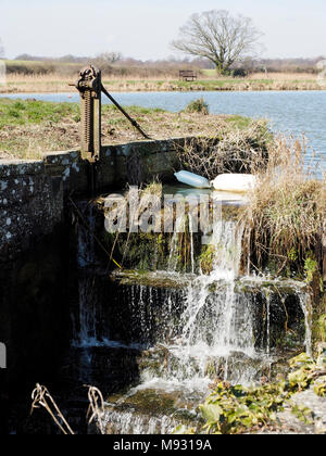 Le cours supérieur de la North Walsham et Dilham Canal à Ebridge, Norfolk sont en cours de restauration par l'ancien Canal Company pour les loisirs et la conservation. Banque D'Images