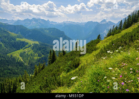 Paysage alpin avec pente de montagne verte Banque D'Images