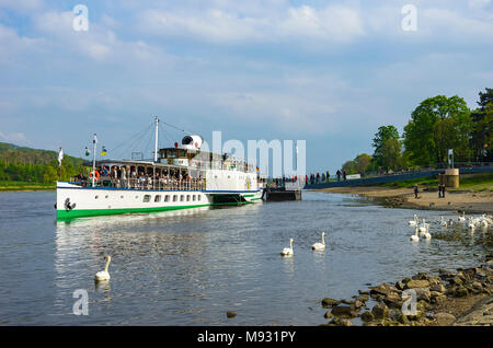 Le bateau à vapeur historique de Leipzig PD a accosté à l'embarcadère dans le district de Blasewitz, Dresde, Saxe, Allemagne. Banque D'Images