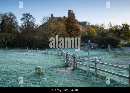 Ruines du château médiévale sur la colline parlementaire à l'hiver glacial image paysage brumeux Banque D'Images