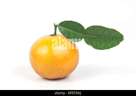 Les oranges fraîches à partir de la zone tropicale ,fruit sucré Banque D'Images