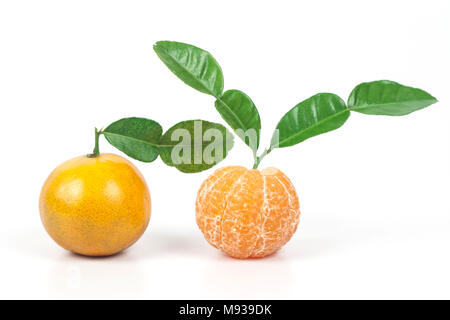 Les oranges fraîches à partir de la zone tropicale ,fruit sucré Banque D'Images