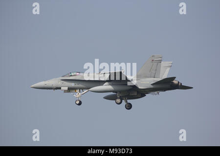 Leeuwarden, Pays-Bas 10 avr 2015 : Finlandais F-18 atterrissant à Frisian Flag Banque D'Images