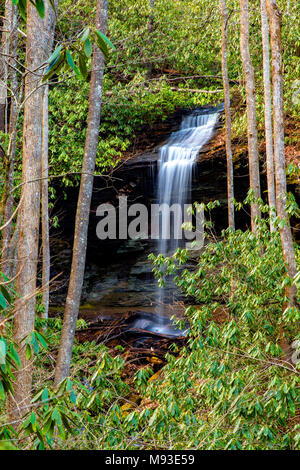 Peu Moore Cove Falls - Pisgah National Forest, Brevard, North Carolina, USA Banque D'Images