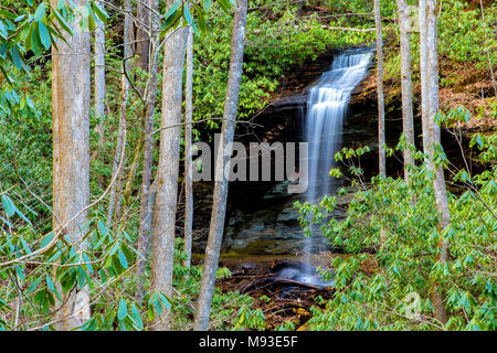 Peu Moore Cove Falls - Pisgah National Forest, Brevard, North Carolina, USA Banque D'Images